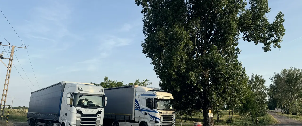 Dwa zestawy z plandekami zaparkowane pod dużym drzewem